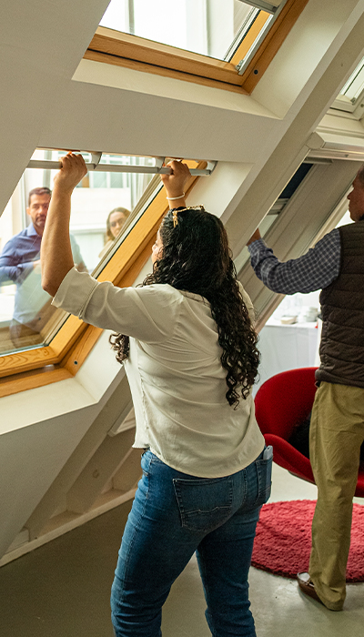 Back Velux!